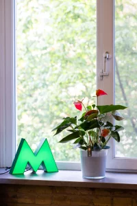 St. Sophia Cathedral Apartment - Central Kyiv